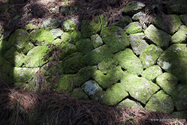 kumano_kodo_13-04-15_10-01-13_003.jpg