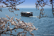 lac_biwa_13-04-09_11-23-52_012.jpg