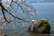 lac_biwa_13-04-09_11-26-12_015.jpg